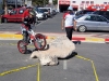campeonato-espana-trial-cartagena-8.jpg